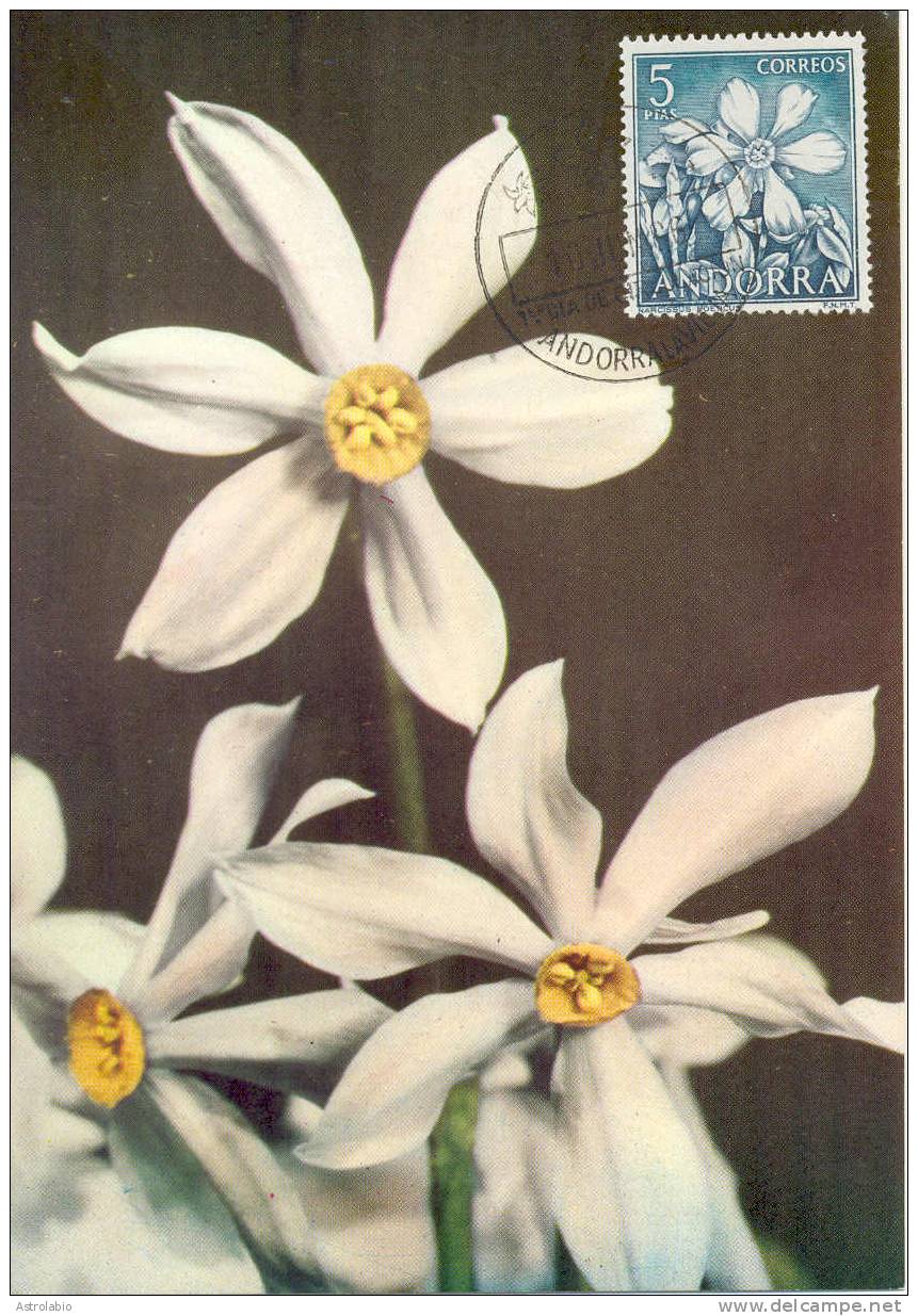 Carte Maximum (4) Flore Andorre Espagnol 1966 Yvert 61/4 Voir 4 Scan - Cartas Máxima