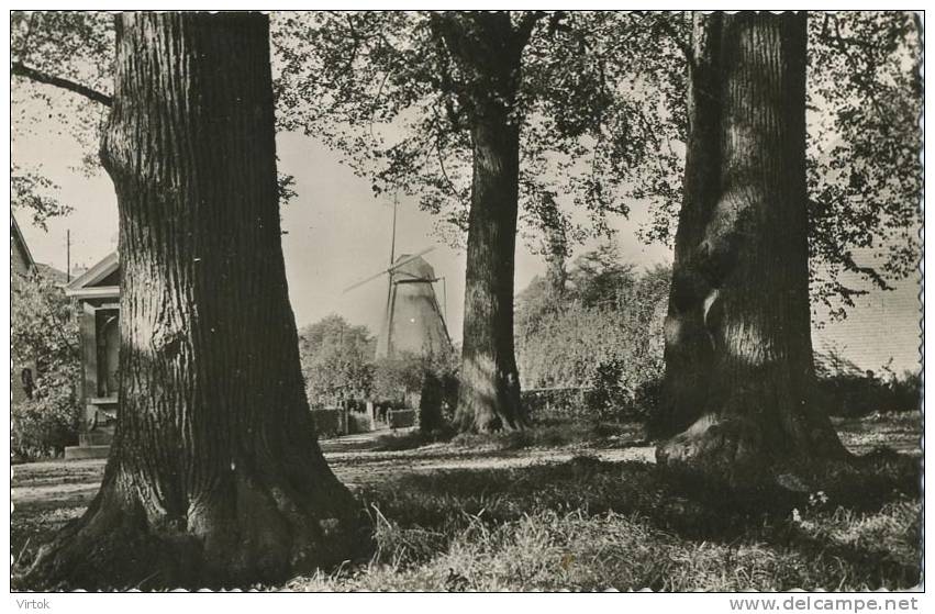 Bouchout  -  De Molen  ( Windmolen ) - Böchout