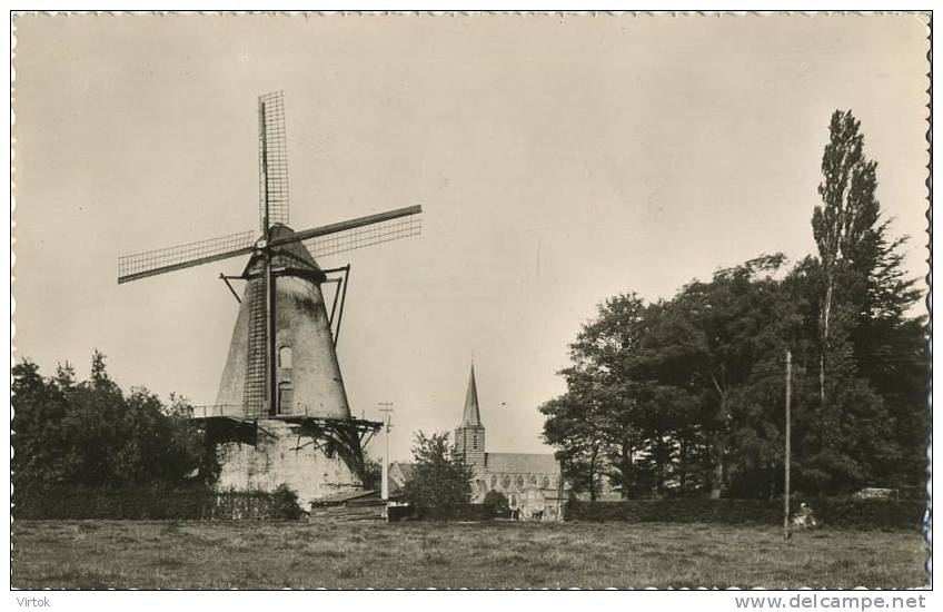 Boechout  -   DE Molen    ( Windmolen ) - Böchout