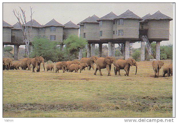 Safari Lodges - Kenia