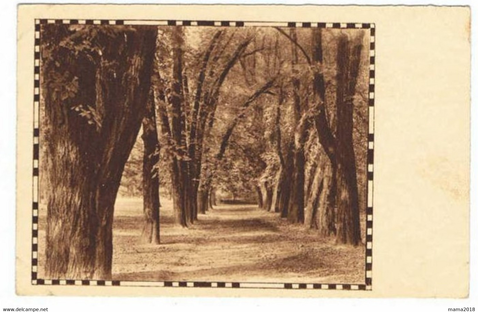 Lieu Inconnu  Carte  Amag  Sous Bois   40113 - Arbres