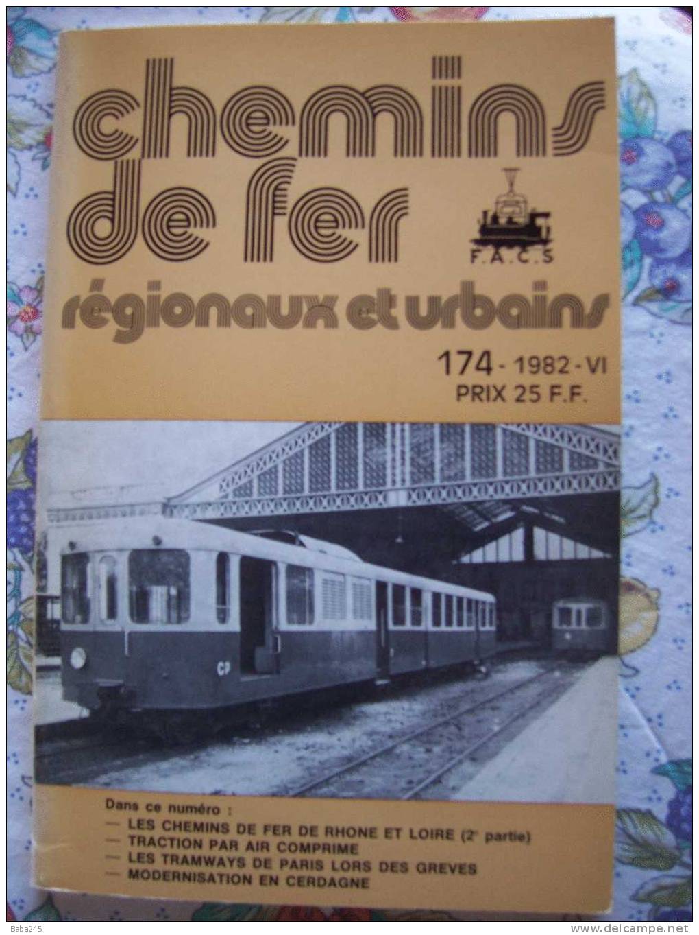 CHEMINS DE FER SECONDAIRES 1982 Les Chemins De Fer De Rhone Et Loire 2° Partie - Trenes