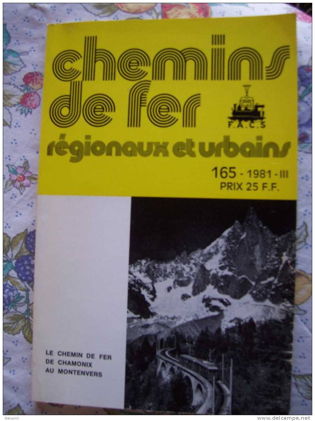 CHEMINS DE FER SECONDAIRES 1983 Lyon Venissieux La Ligne Des Belles Meres - Trenes