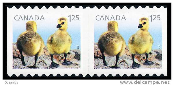 Canada (Scott No.2431 - Canard  / Duck) [**] De Carnet / From Booklet - Paire / Pair - Neufs