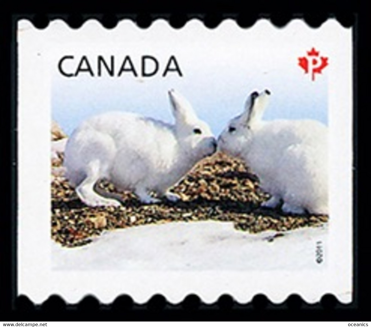 Canada (Scott No.2426- Lievre  / Rabbit ) [**] (P) Coil - Ongebruikt