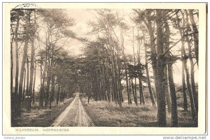 ANSICHTKAART  (675) HILVERSUM * HORNEBOEG * GELOPEN NAAR HILLEGERSBERG - Hilversum