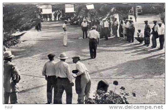 Cobcours De Petanque Cote D' Azur    (19683) - Petanca