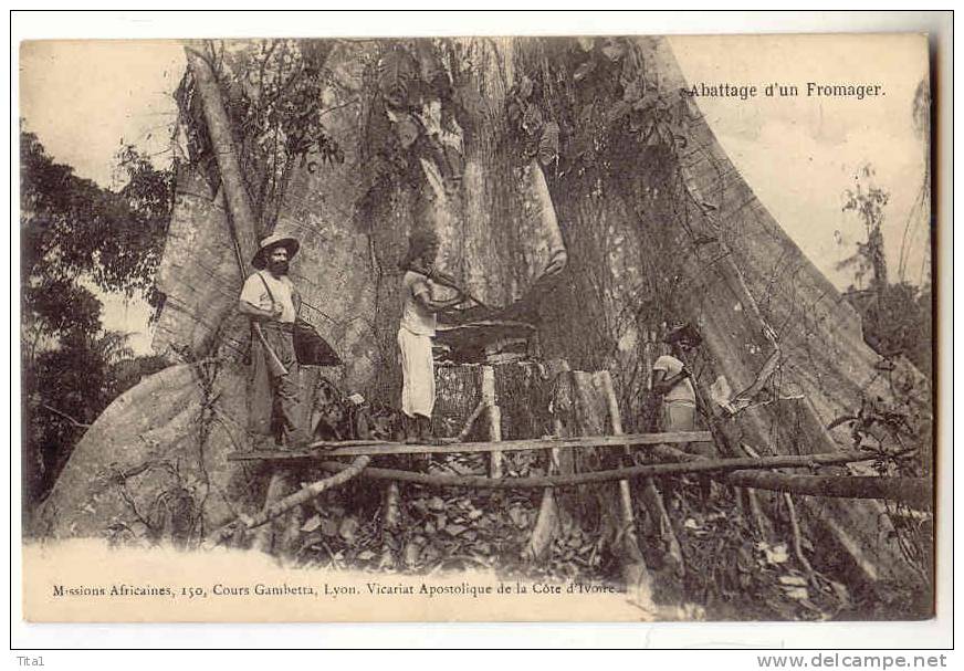 D1831 - Côte D'Ivoire - Abattage D'un Fromager   *métier*bûcheron*arbre* - Côte-d'Ivoire