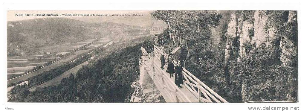 L813 WOLFSSCHLUCHT Avec Pont Et Panorama Sur Echternach ( Duo-card, Doppelkarte) - Echternach