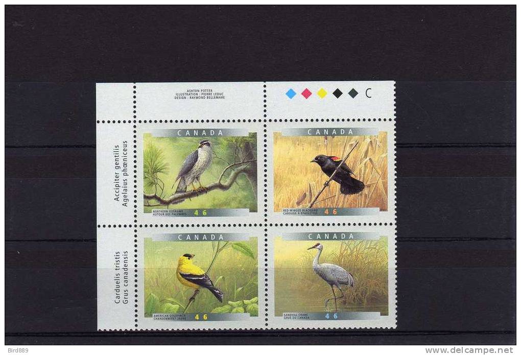 1999 Canada Fauna Bird Goshawk, Blackbird, Goldfinch, Crane Block Of 4 MNH - Unused Stamps