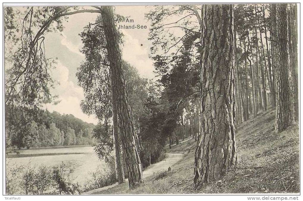 Am Ihlandsee Nahe Altlandsberg Gielsdorf Seepromenade Durch Kiefer Wald TOP-Erhaltung Um 1910 Goldiner Verlag Berlin - Altlandsberg