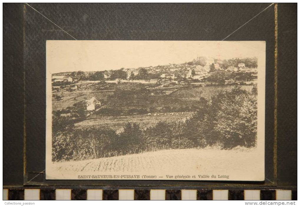 SAINT SAUVEUR EN PUYSAYE VUE GENERALE ET VALLEE DU LOING - Saint Sauveur En Puisaye