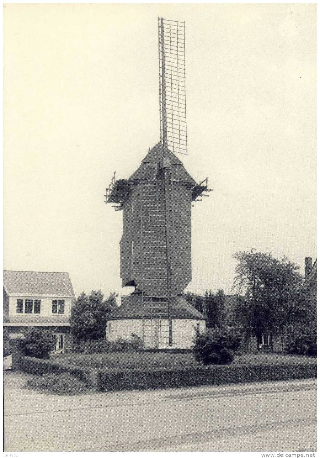 Aartselaar Molen - Aartselaar