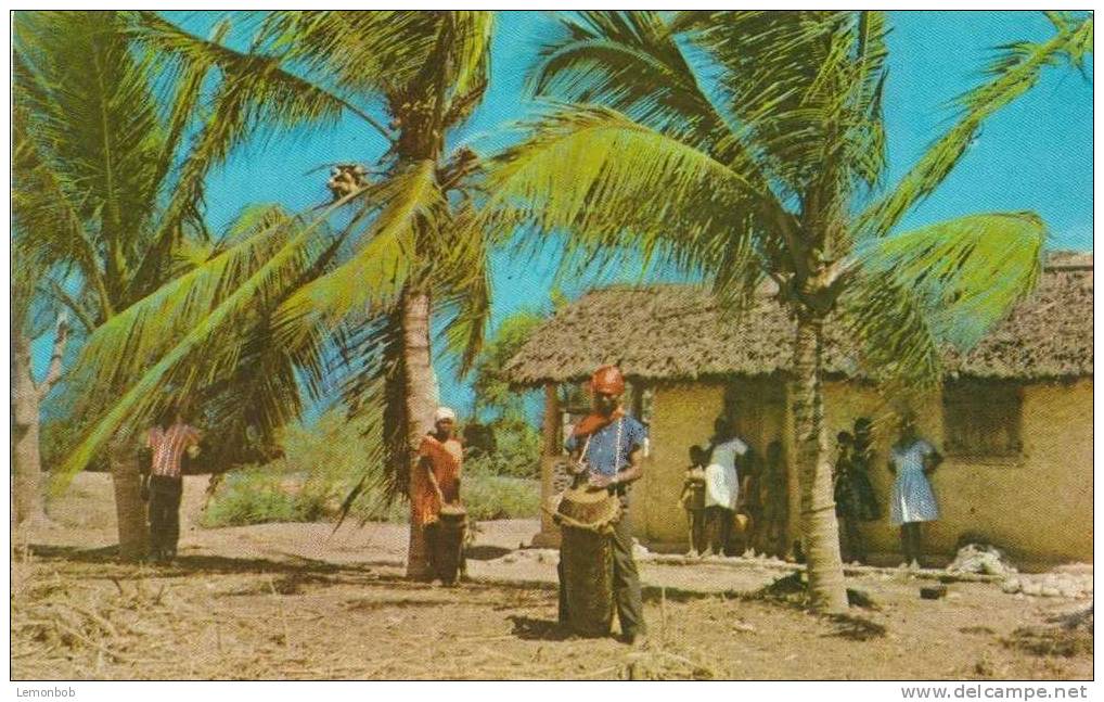 Haiti - Paysages - Landscape - Port-Au-Prince - Old Unused Postcard [P2124] - Haïti