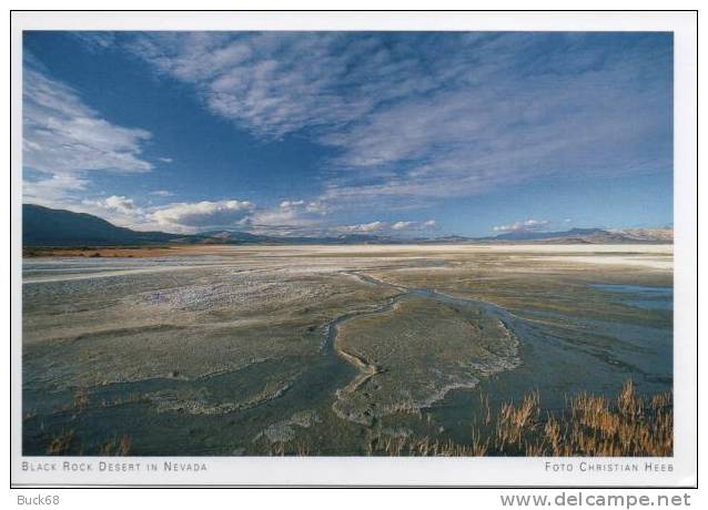 CPM USA Etats-Unis NEVADA Black Rock Desert - Sonstige & Ohne Zuordnung