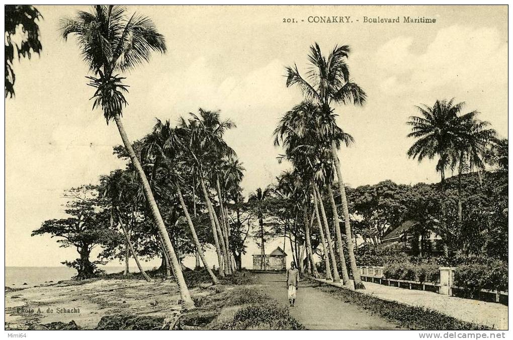 GUINEE .  KONAKRY  .  BOULEVARD MARITIME . - Guinee