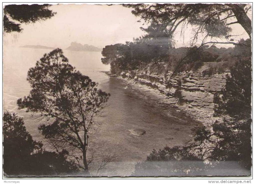 LES LECQUES - Saint-CYR-sur-MER - Une Vue De La Côte Des Lecques - Les Lecques