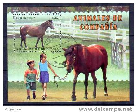 CHEVAUX Cuba 1 Bloc Oblitéré - Horses