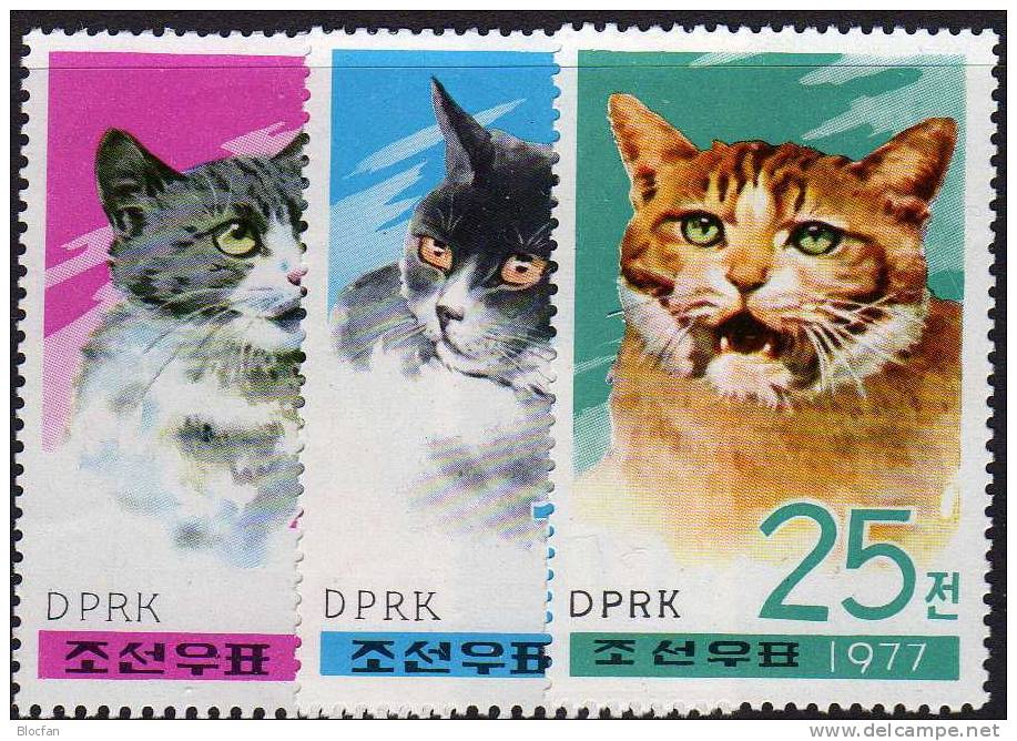 Maxi-Set Hauskatzen 1977 Korea 1659/1,2x ER,3x ZD+Kleinbogen ** 50€ WWF Naturschutz Katzen Hb M/s Cat Sheetlets Bf Corea - Korea (...-1945)