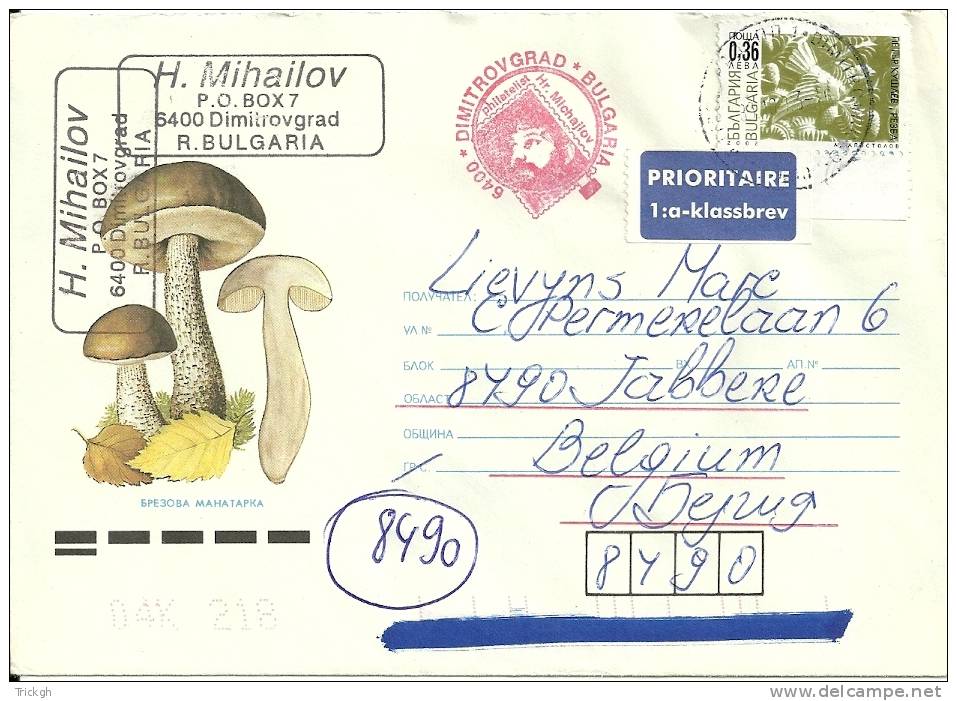 Bulgaria 2003 / Mushroom Champignon - Cartas & Documentos