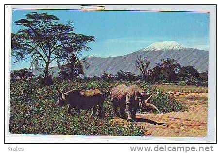 Postcard - Rhinoceros  (1685) - Neushoorn