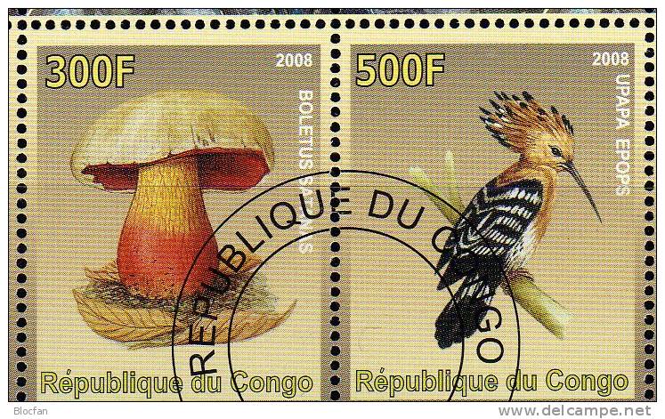Natur Und Umwelt Kongo Block 4/2008 O 5€ Pilze, Vögel Bloc Sheet From Africa - Piciformes (pájaros Carpinteros)