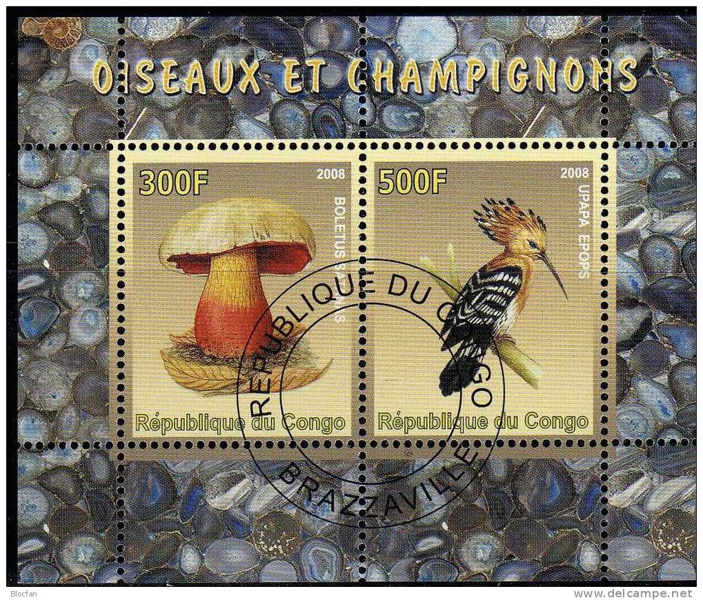 Natur Und Umwelt Kongo Block 4/2008 O 5€ Pilze, Vögel Bloc Sheet From Africa - Piciformes (pájaros Carpinteros)