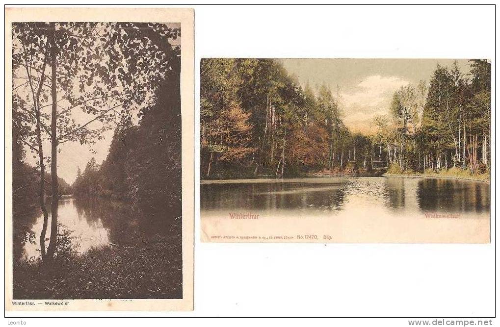 Walkeweiher Winterthur 2 Ansichtskarten 1905 + 1922 - Winterthur