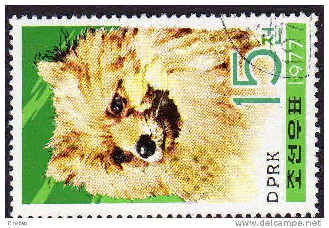 Hunde-Rassen 1977 Korea 1663, 4-Block Plus Kleinbogen O 22€ WWF Naturschutz Haushund Wolfsspitz Bloc Sheetlet From Corea - Corée (...-1945)