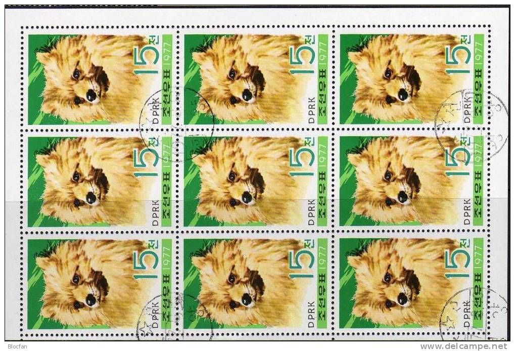 Hunde-Rassen 1977 Korea 1663, 4-Block Plus Kleinbogen O 22€ WWF Naturschutz Haushund Wolfsspitz Bloc Sheetlet From Corea - Korea (...-1945)