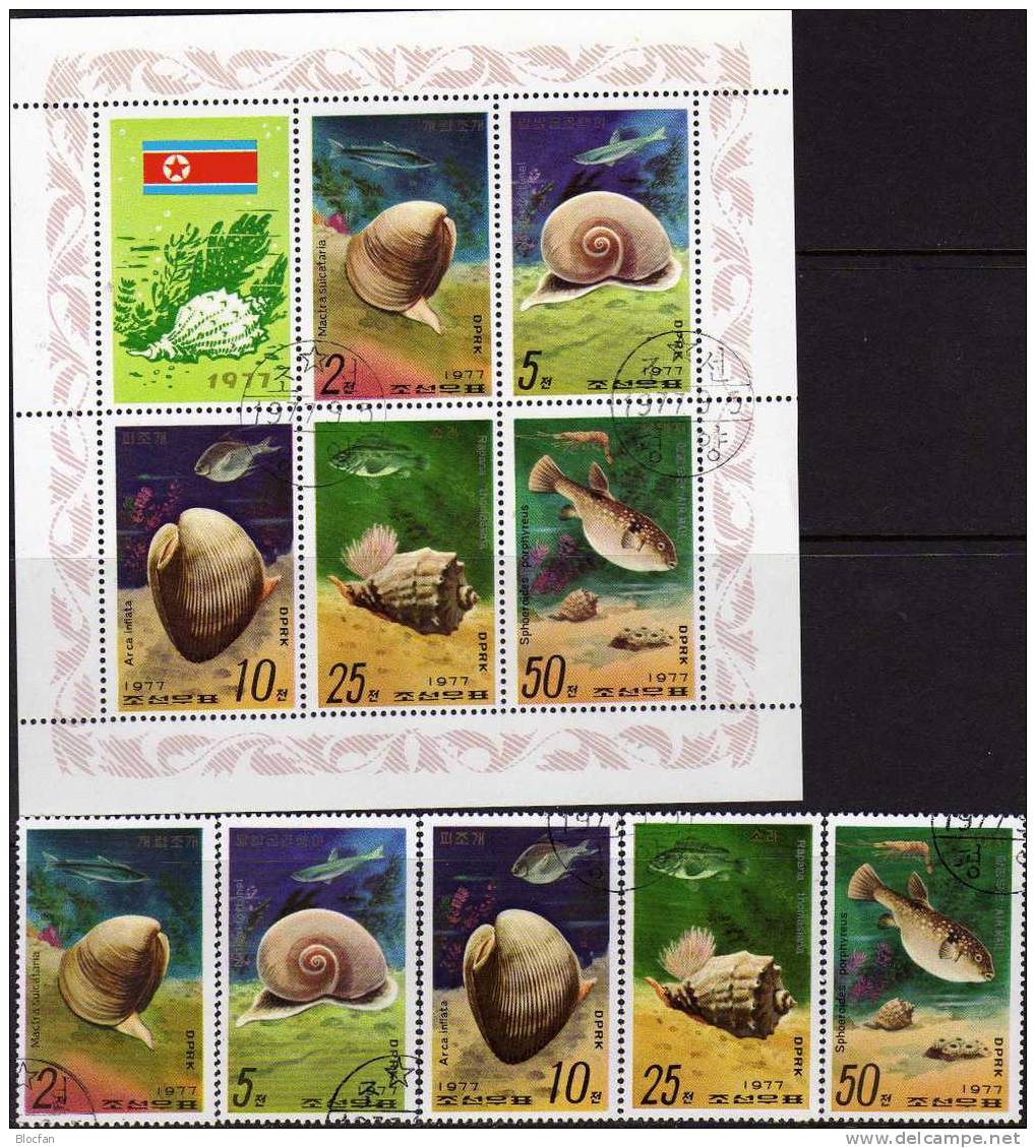 WWF Schnecken/Fische 1977 Corea 1668/2+Kleinbogen O 12€ Meeres-Tiere Bloque Ms Animals Hoja Fishes Set/sheetlet Bf Coree - Korea, North