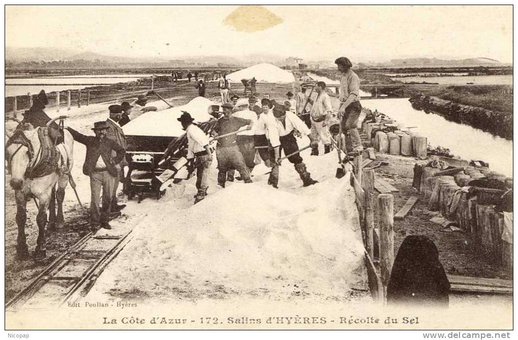 (83) Salins D'Hyères, Récolte Du Sel, - Hyeres