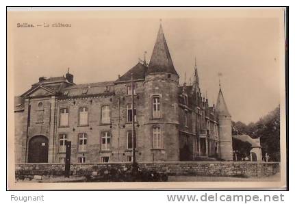 BELGIQUE:ANDENNE.(Namur): Reproduction Carte:SEILLES:Le Château.non écrite. - Andenne