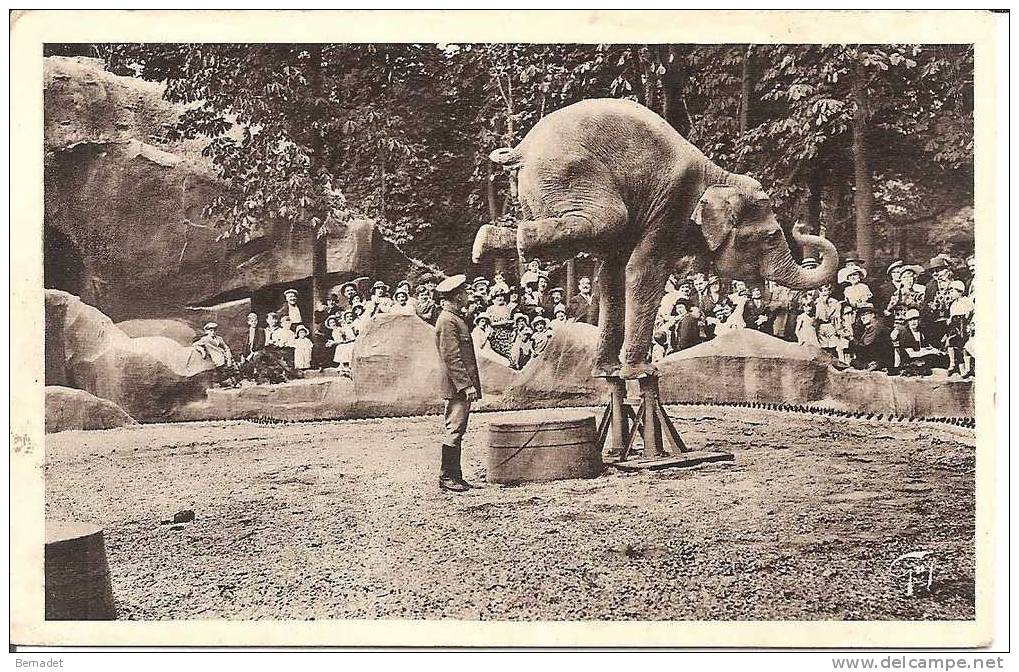 JARDIN ZOOLOGIQUE DE VINCENNES ..  L'ELEPHANT EQUILIBRISTE - Olifanten