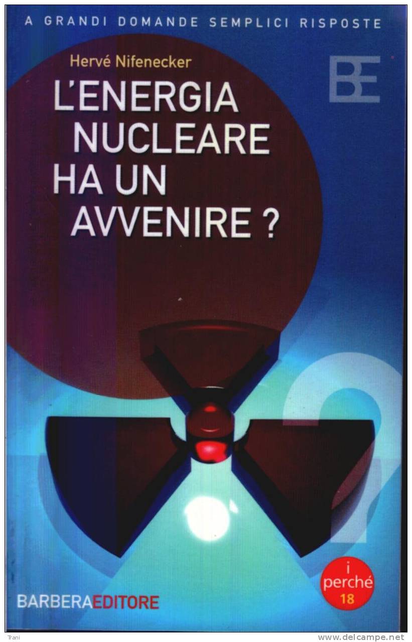 L'ENERGIA NUCLEARE HA UN AVVENIRE? - Wiskunde En Natuurkunde