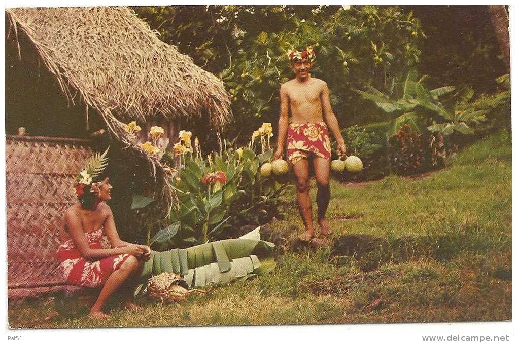 987 - Polynésie Française  - Tahiti : Cueillette Du Fruit à Pain Ou "Uru" - Photo Afo Giau - Tahiti