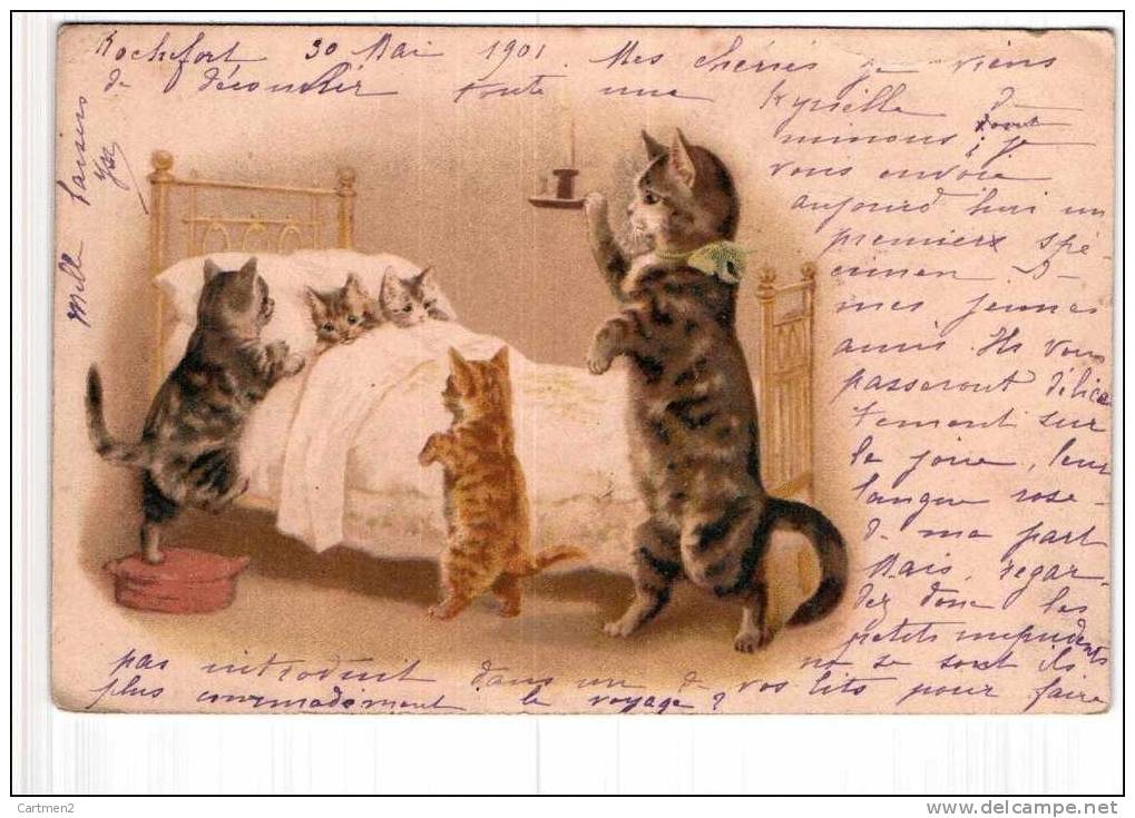 FAMILLE DE CHATS CHAT CAT CHATON AU LIT 1901 - Gatos