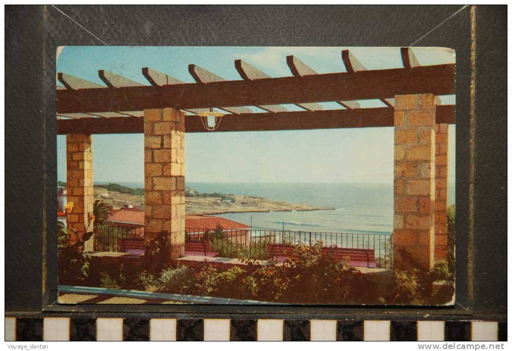 TARRAGONE   PERGOLA DU PARC DU MIRACLE ESPAGNE  CATALOGNE - Tarragona