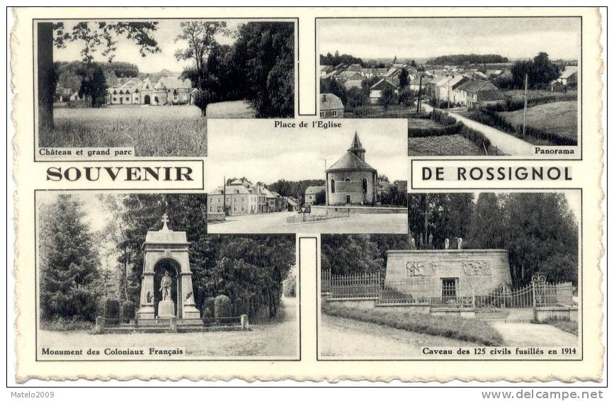 ROSSIGNOL (6730) Souvenir De ( Multivues ) - Tintigny