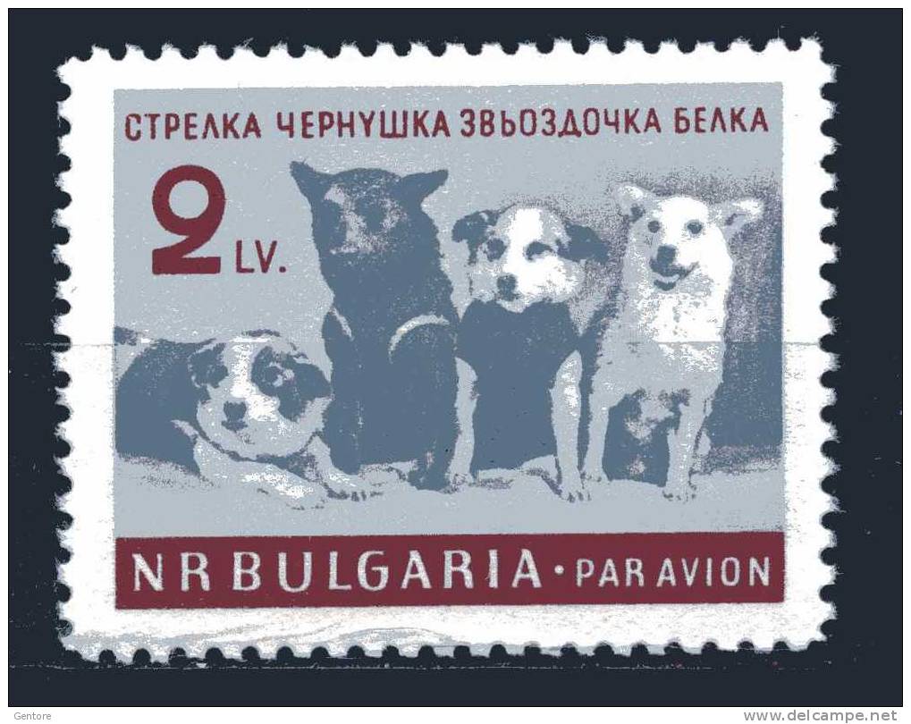 BULGARIA 1961 Dog On The Space    Yvert Cat. N°  Air 81  Absolutely Perfect MNH ** - Europa
