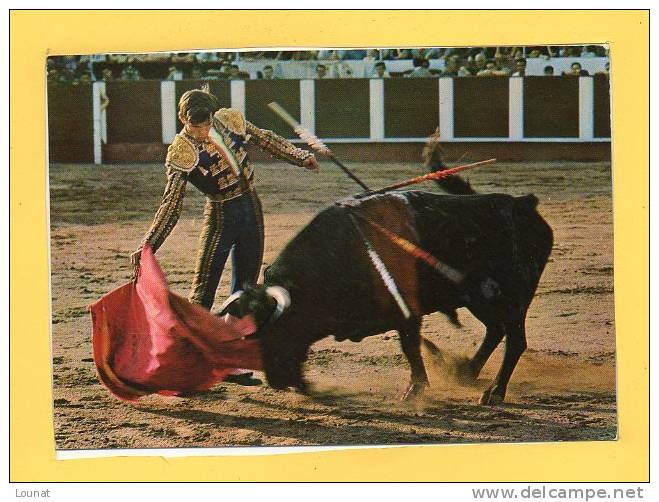 Corrida De Toros - Pase Con La Derecha  Manuel Benilez " El Cordobès " - Corridas