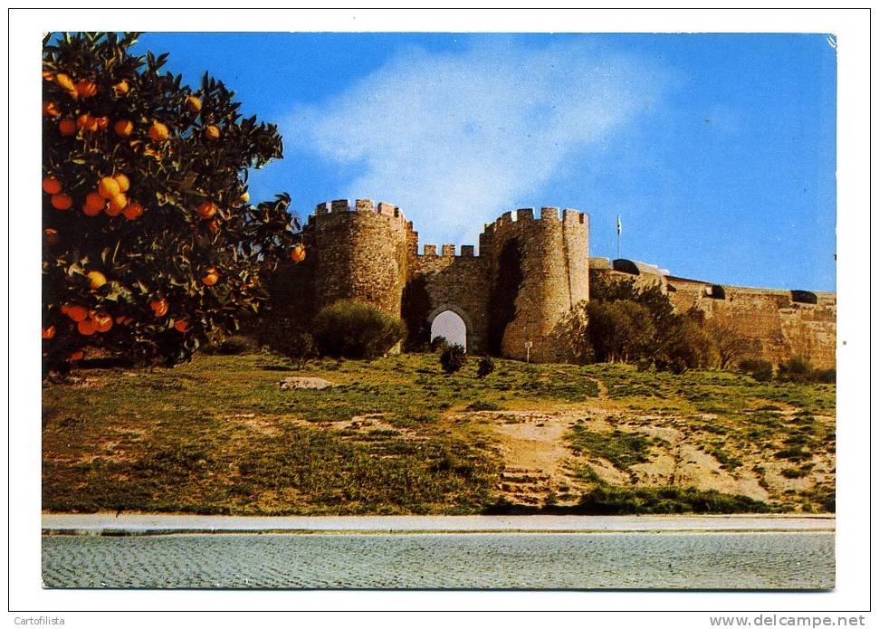 VILA VIÇOSA - Muralhas De D. Diniz E Porta De Évora - Evora