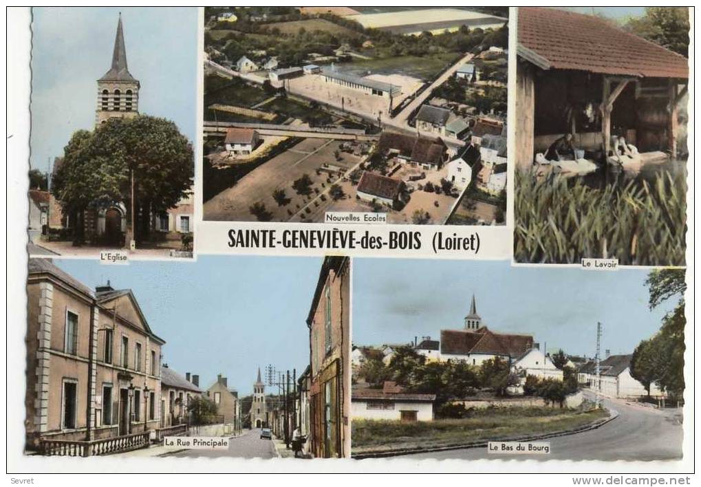 SAINTE-GENEVIEVE Des BOIS. -  Vues Multiples - Sonstige & Ohne Zuordnung