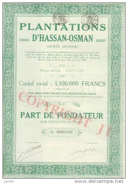 Plantations D'Hassan-Osman (Ethiopie) - 1927 - Agriculture