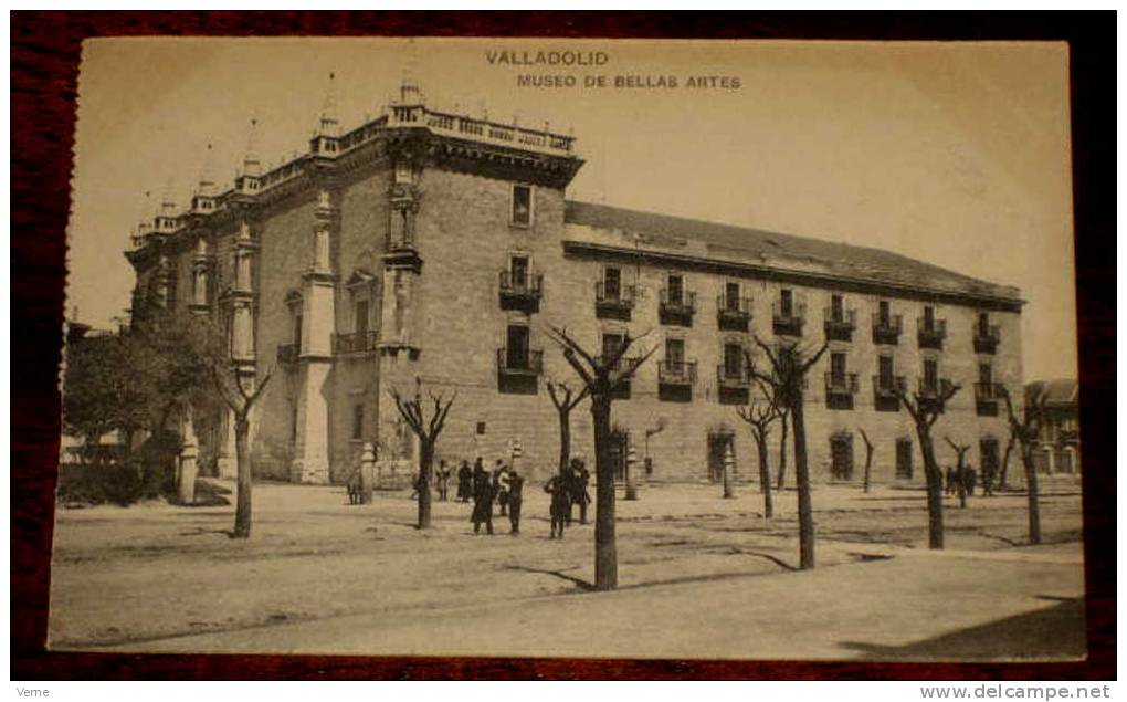 ANTIGUA POSTAL DE VALLADOLID . MUSEO DE BELLAS ARTES - L.J. - HAUSER Y MENET - SIN CIRCULAR - Valladolid