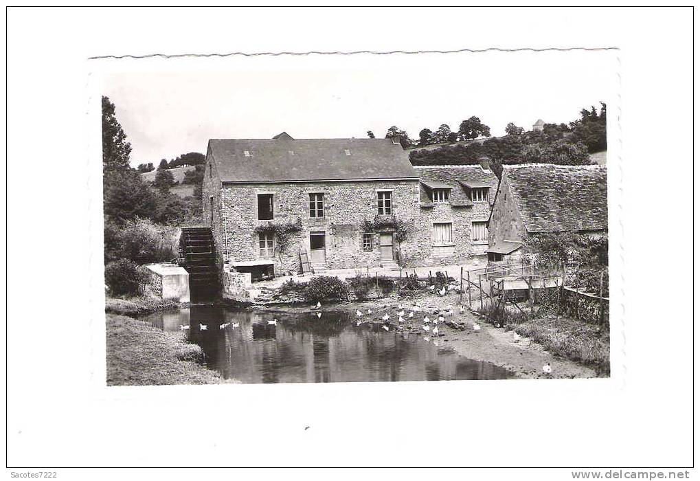 BRULON -  LA VEGRE AU MOULIN (moulin à Eau) - Brulon