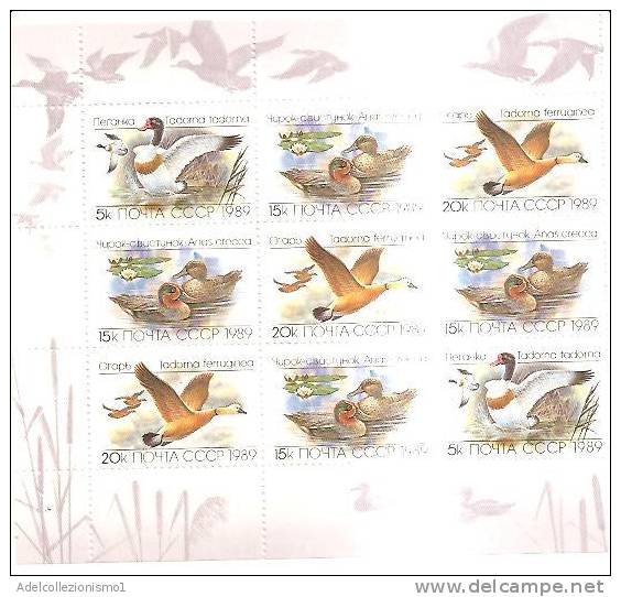 48462)foglio Commemorativo Russo Con 9 Valori Fauna 1989 - N°5641-43 - Nuovi - Fogli Completi