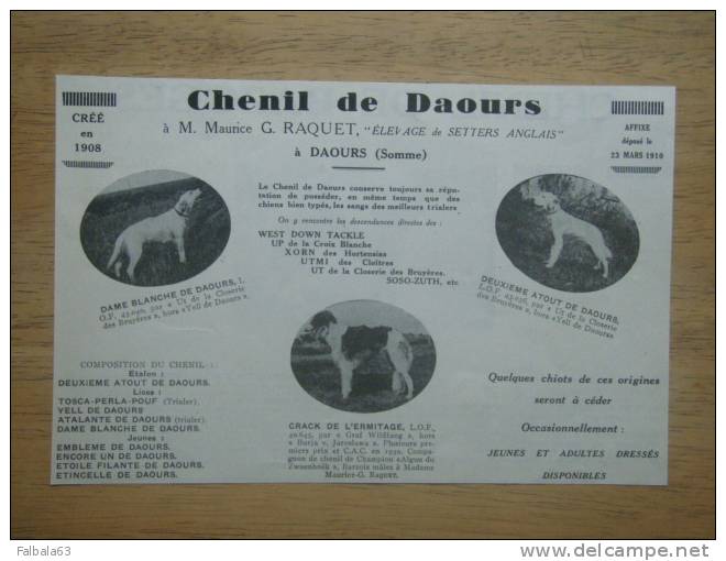 PUB Elevage Chien 1930 Setters RAQUET à DAOURS Somme (80) - Publicités