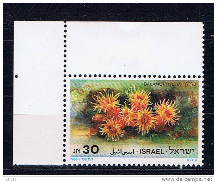 IL+ Israel 1986 Mi 1027 Blumen - Usados (sin Tab)