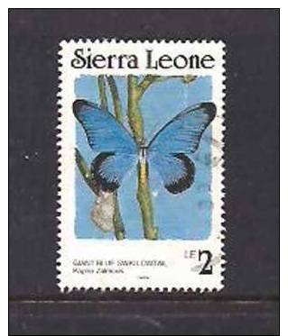 SIERRA LEONE  BUTTERFLIES  USED STAMP - Vlinders